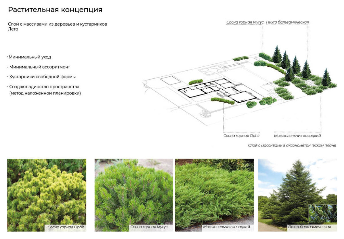 Верстка проекта