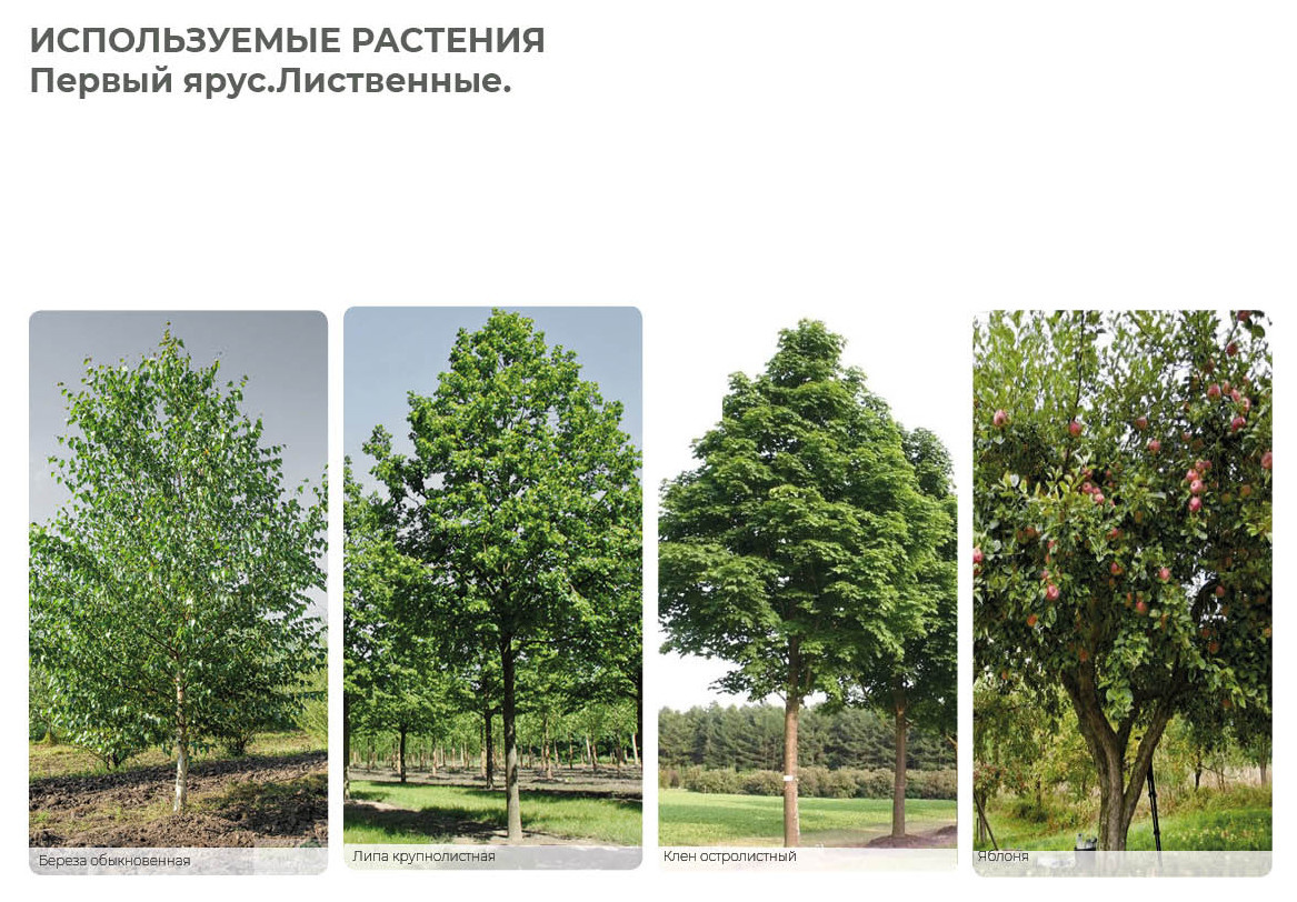 Верстка проекта