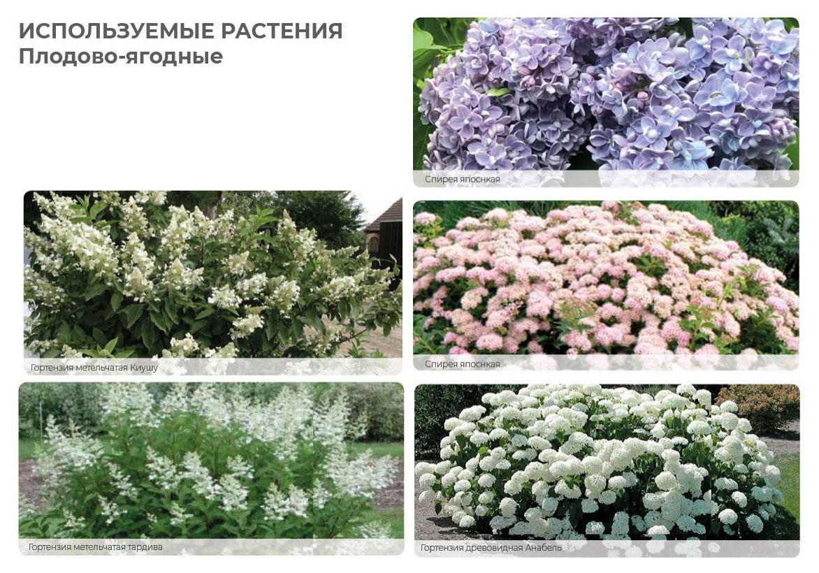 Верстка проекта