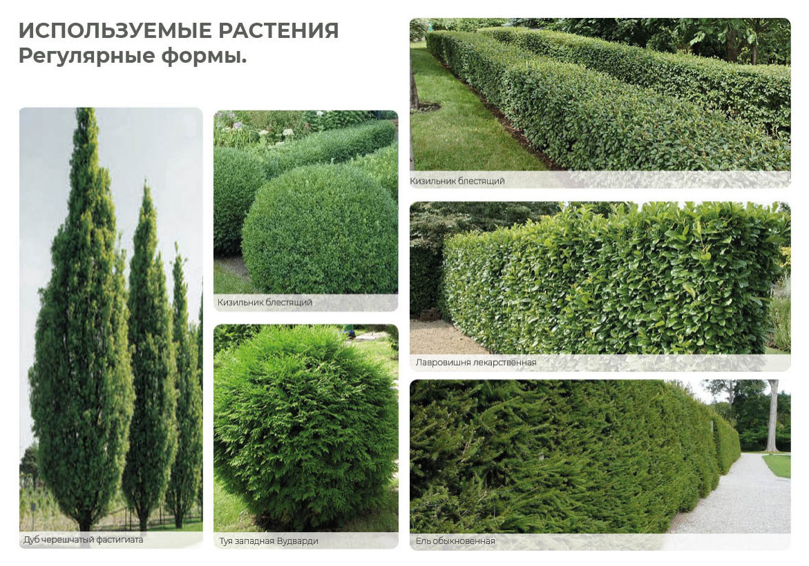 Верстка проекта