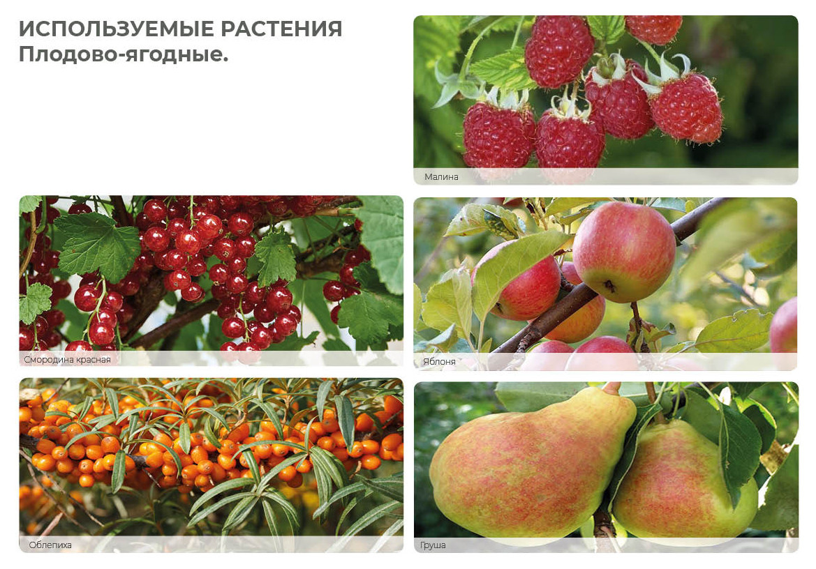 Верстка проекта