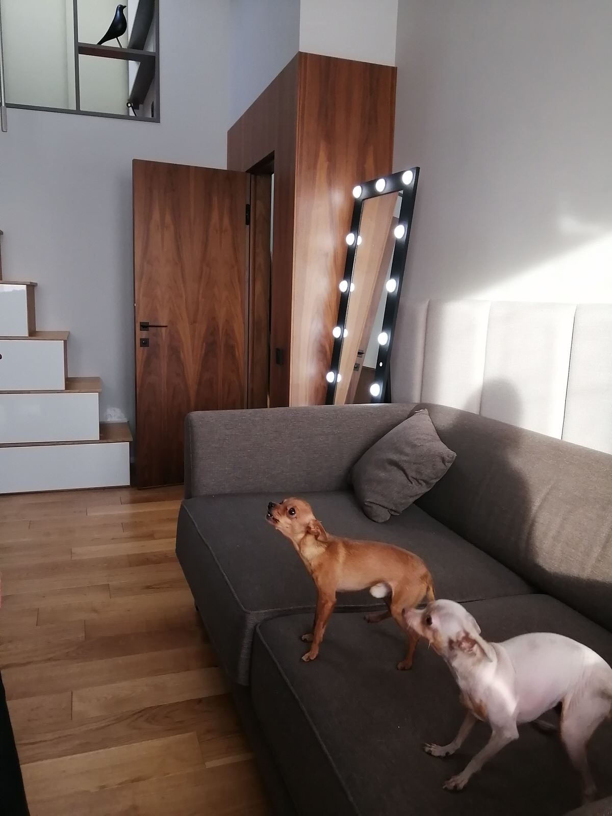 ЖК Лесной городок. Таунхаус.