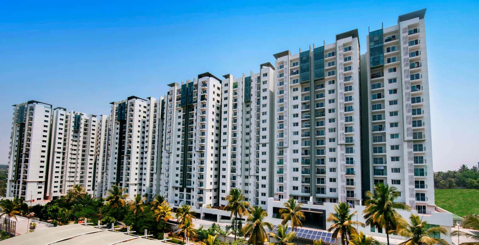 Prestige Rock Cliff