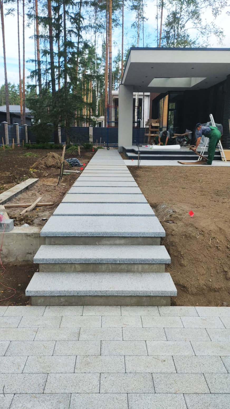 Текущий проект: Репино-Парк