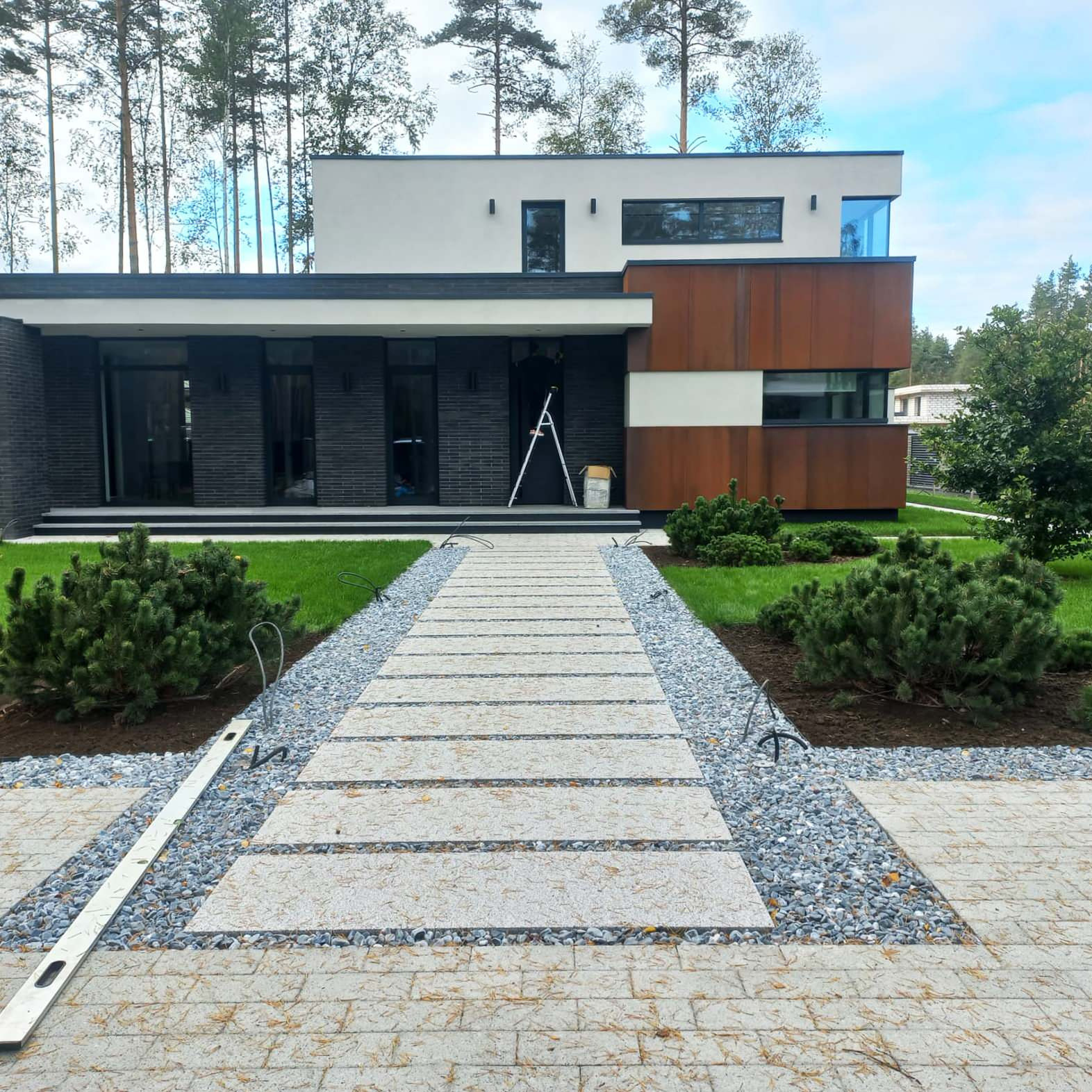 Текущий проект: Репино-Парк