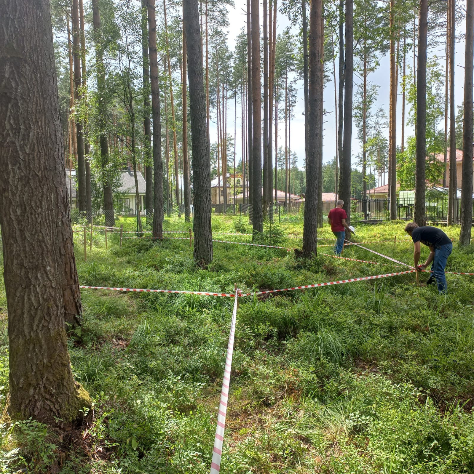 Текущий проект: Охта-Парк