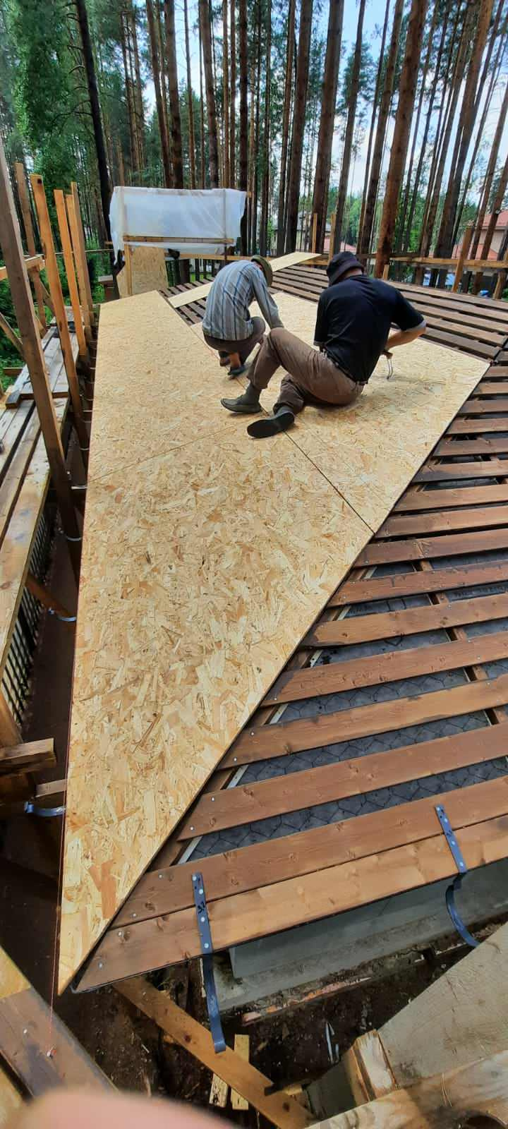 Текущий проект: Охта-Парк