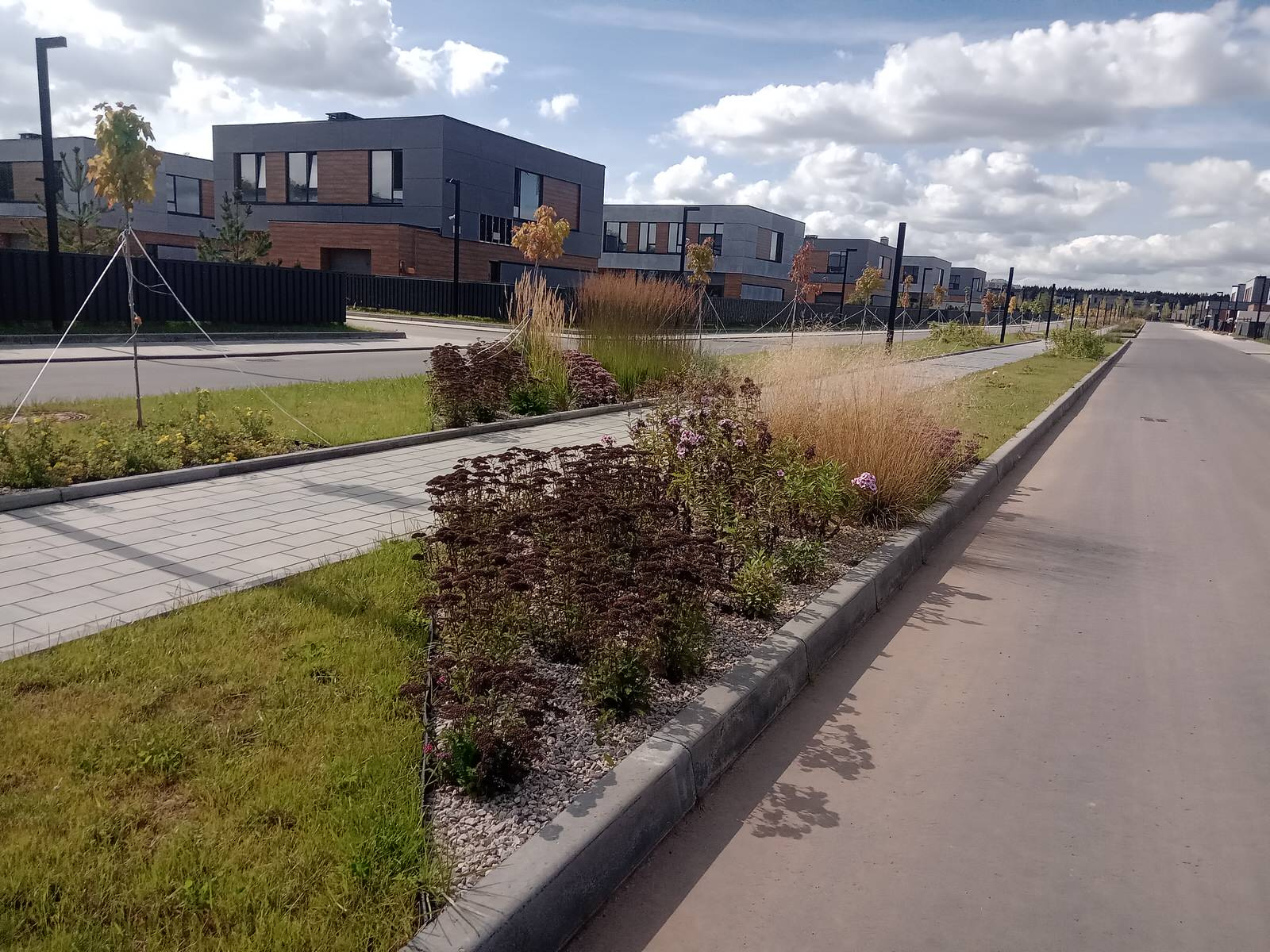 Новогорск Клаб