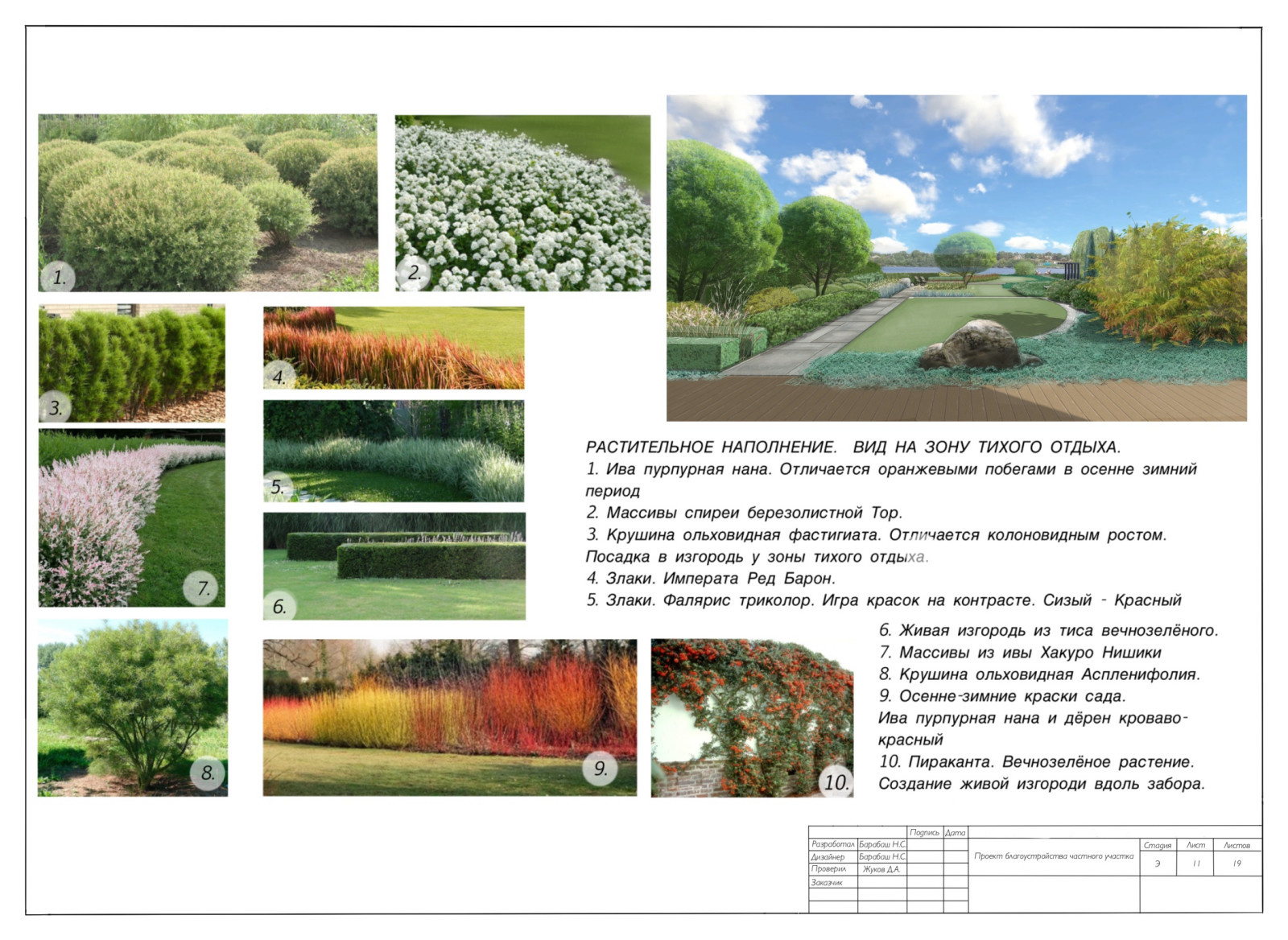 Концепция к проекту "Сад Реки"