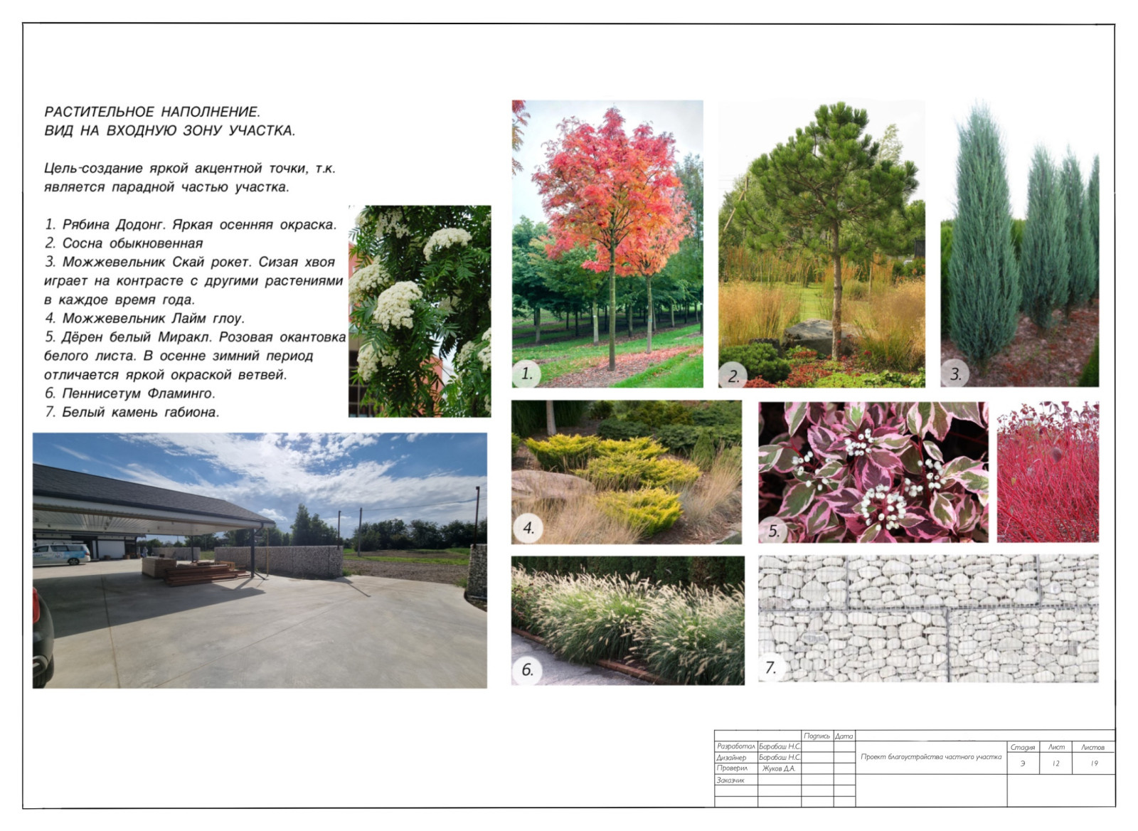 Концепция к проекту "Сад Реки"