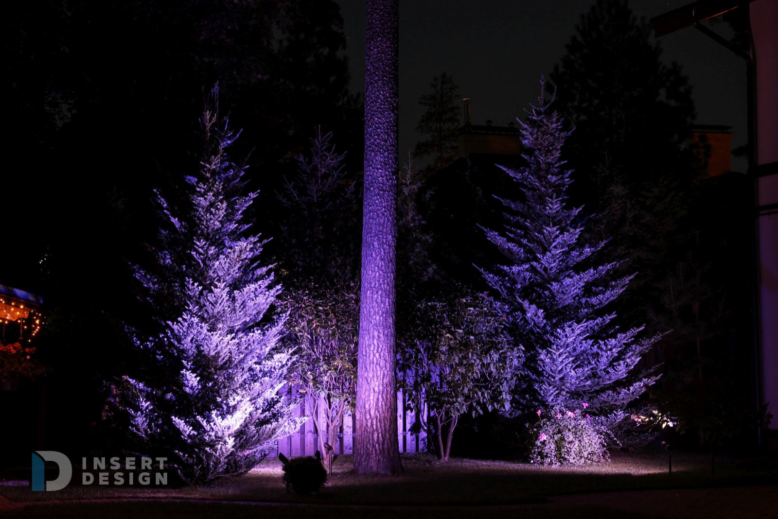 Ландшафтное освещение территории загородного дома в Пушкино, Подмосковье