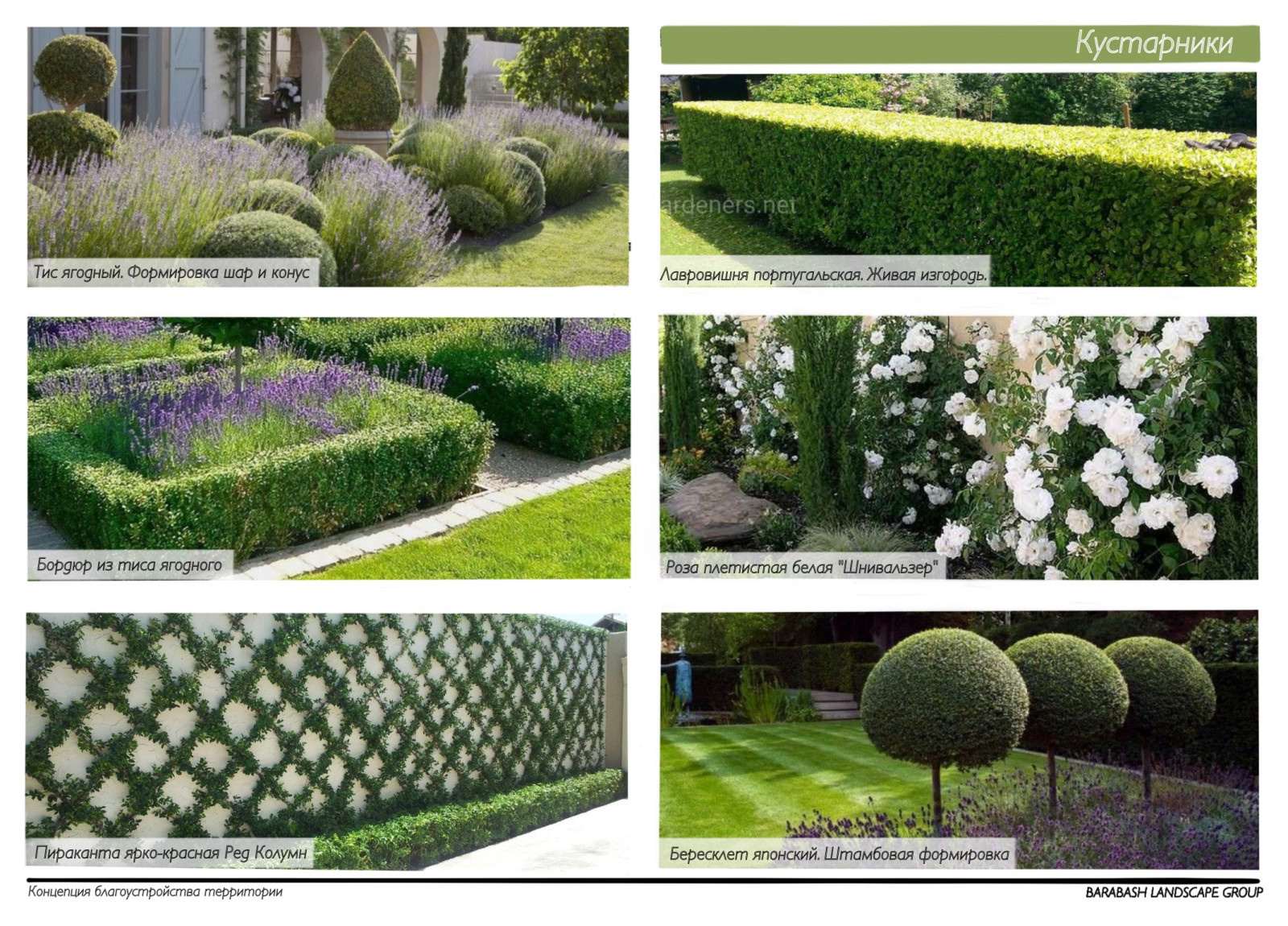 Концепция к проекту "Family estate"