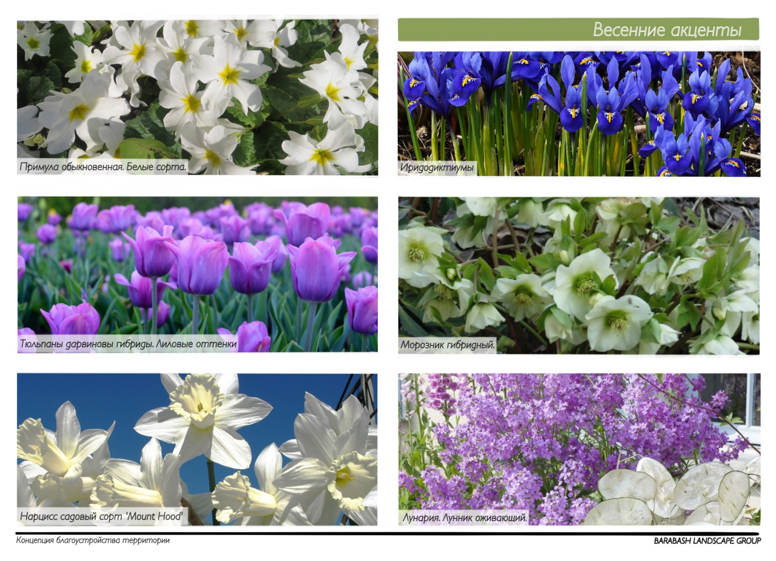 Концепция к проекту "Family estate"