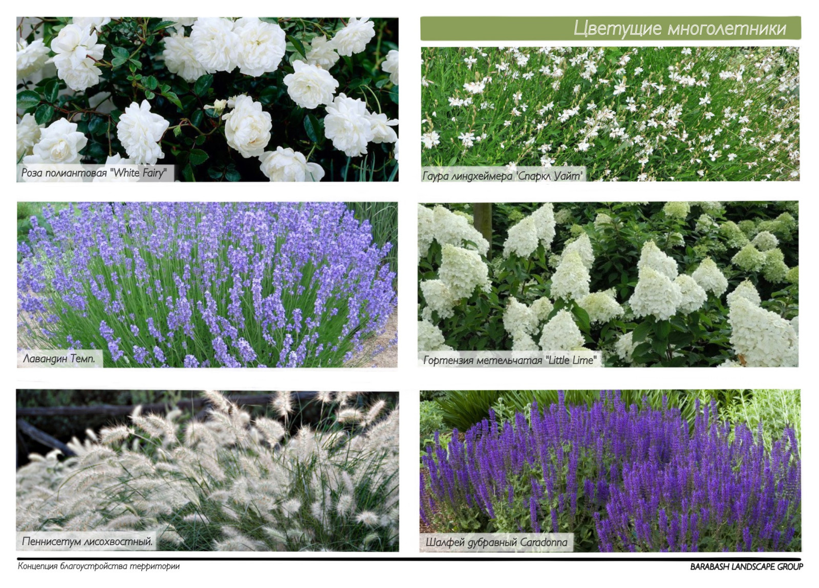 Концепция к проекту "Family estate"