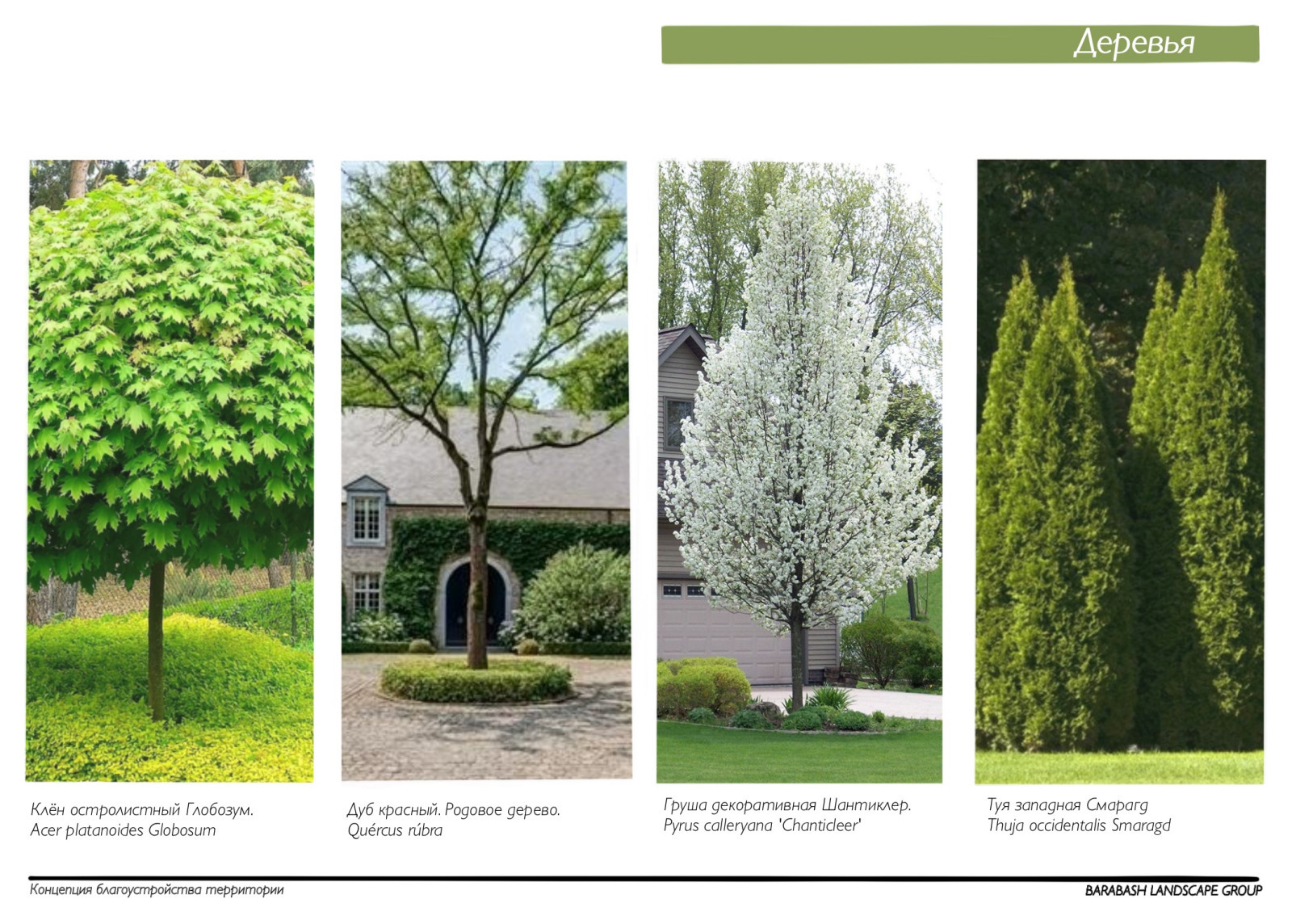 Концепция к проекту "Family estate"