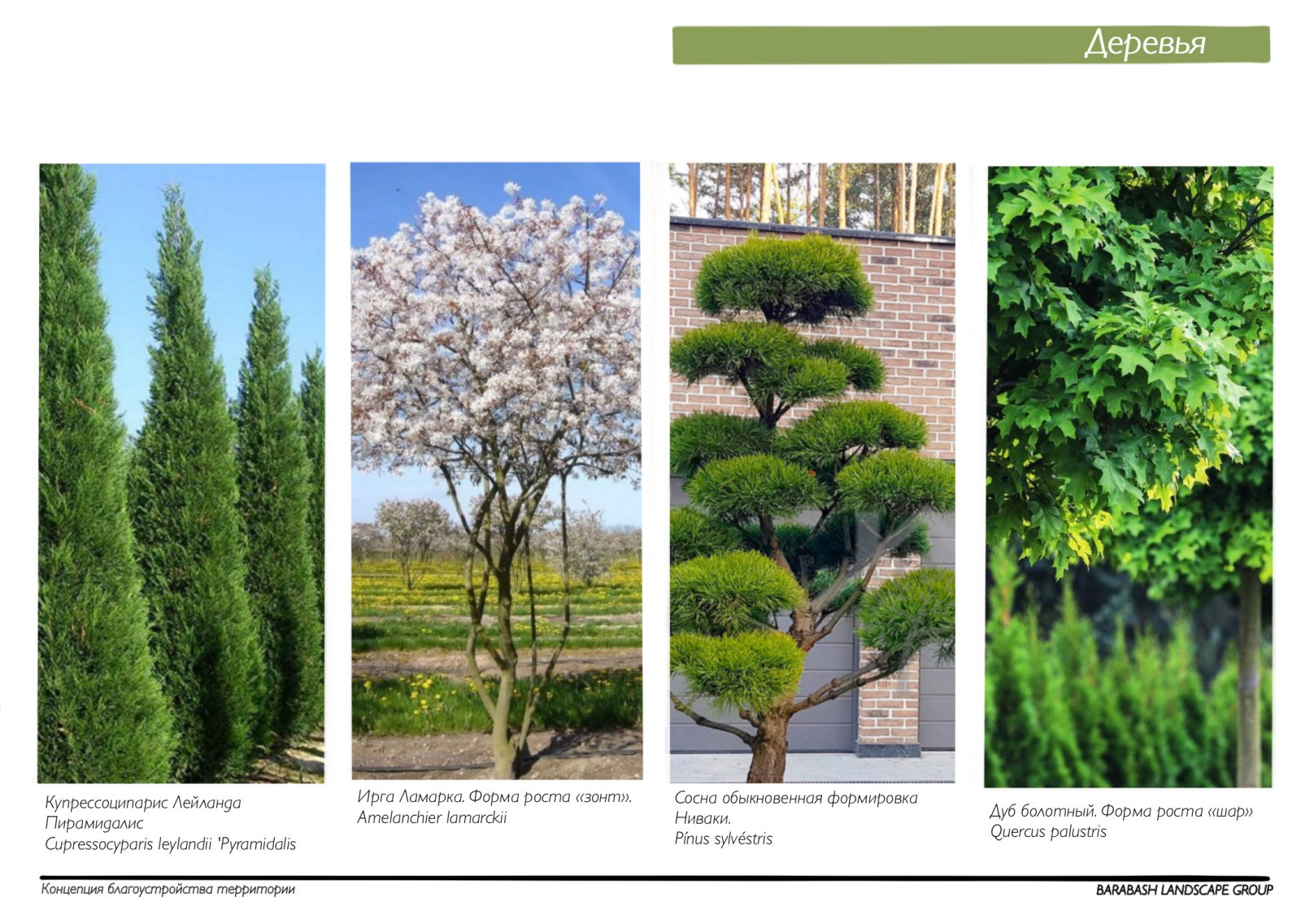 Обложка проекта: Концепция к проекту "Family estate"