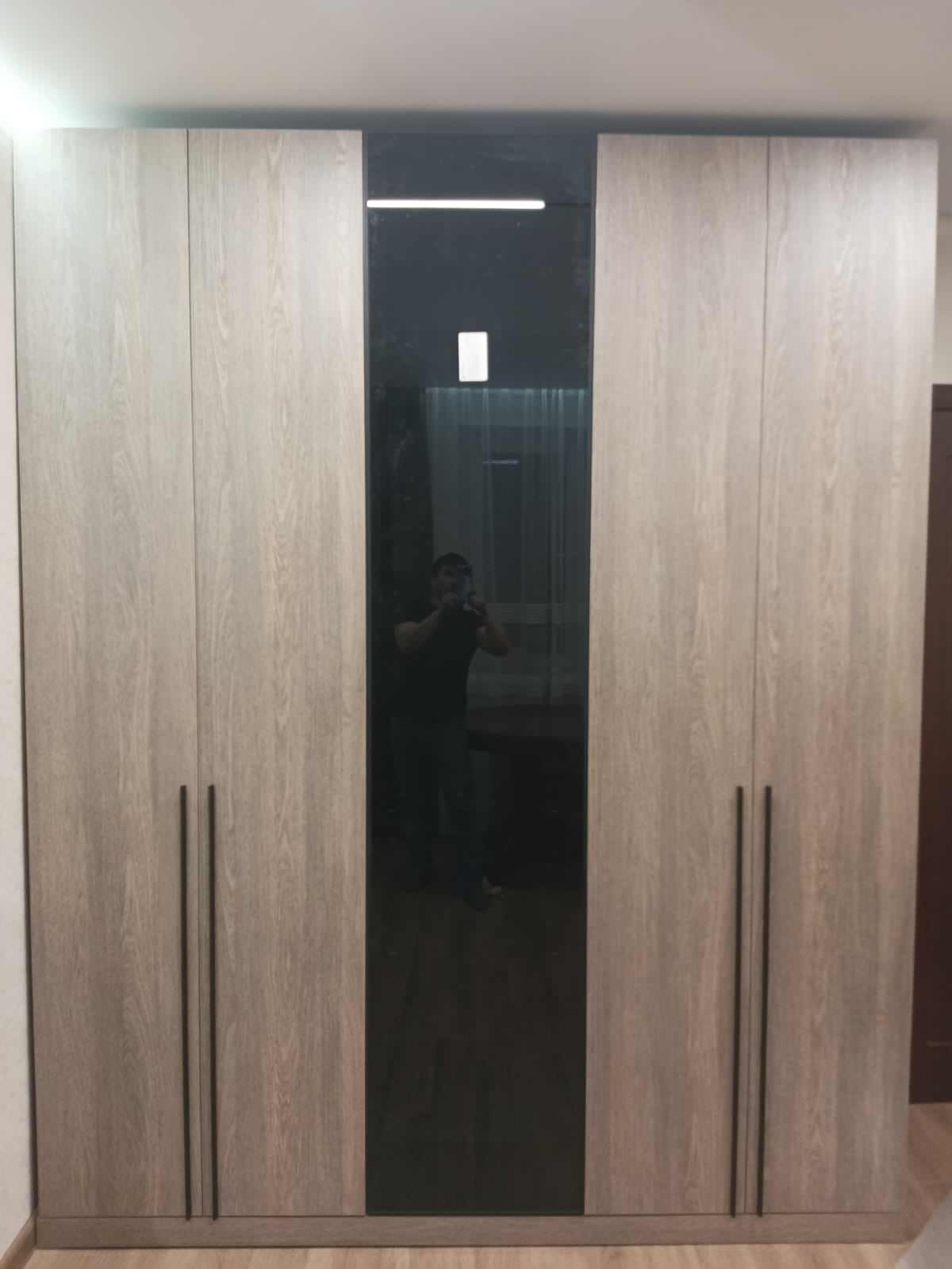 Обложка проекта: Шкаф с тонированным стеклом