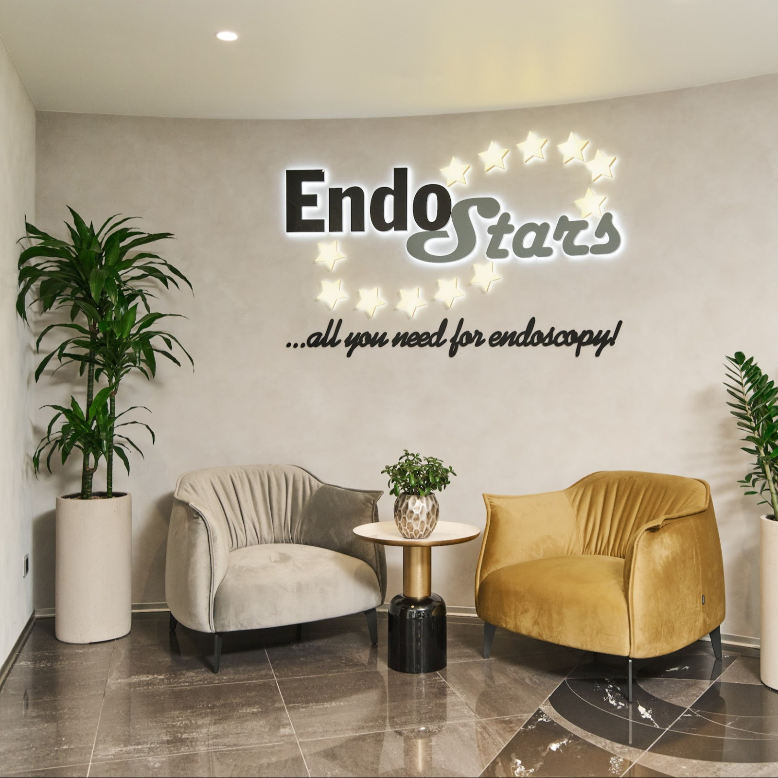 Озеленение офиса Endo Stars