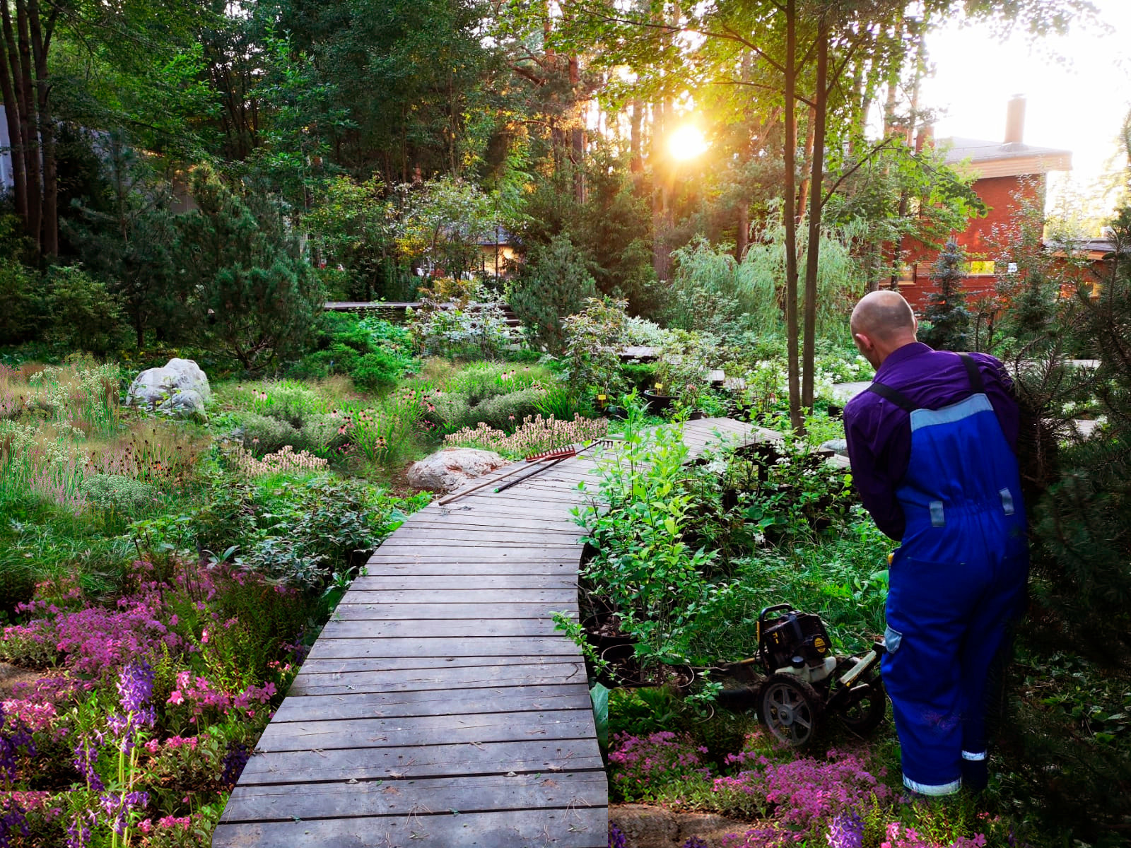 Ландшафтный дизайн участка с лесом В Покровском-Рубцове