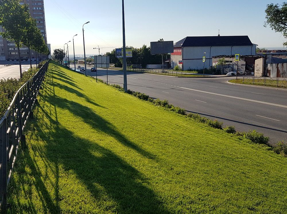 Благоустройство ландшафта торгового центра