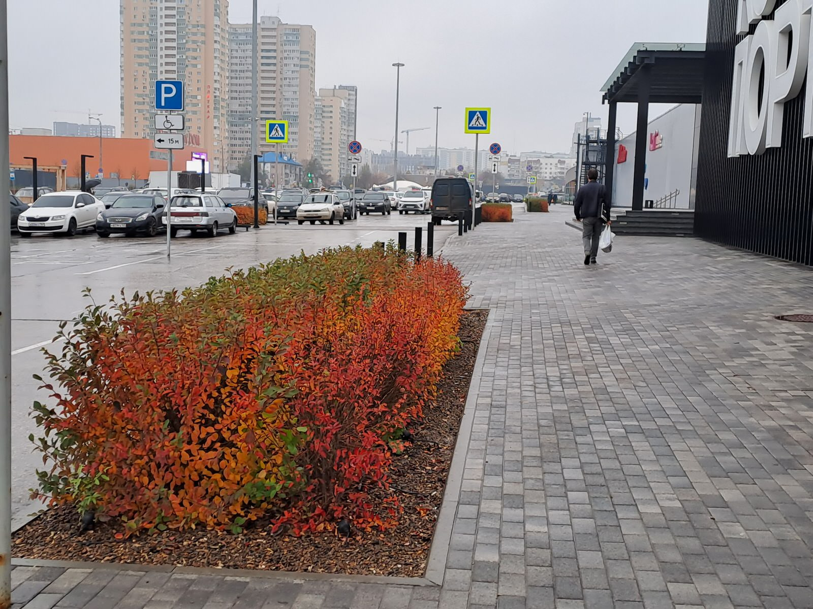 Благоустройство ландшафта торгового центра