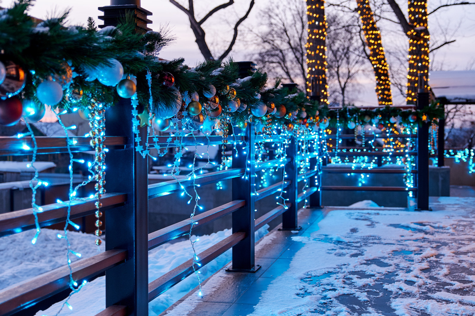 Современный сад