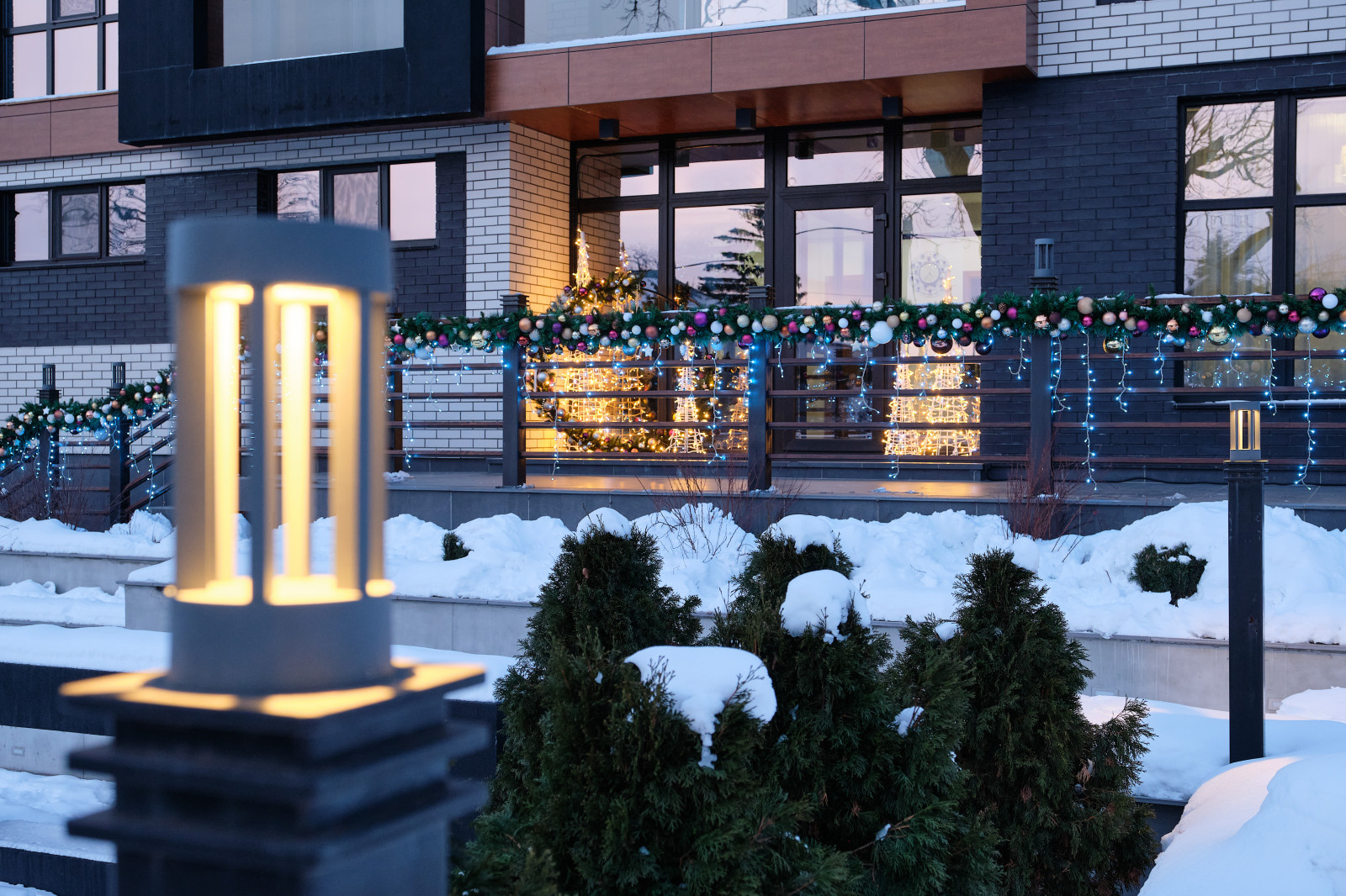 Современный сад