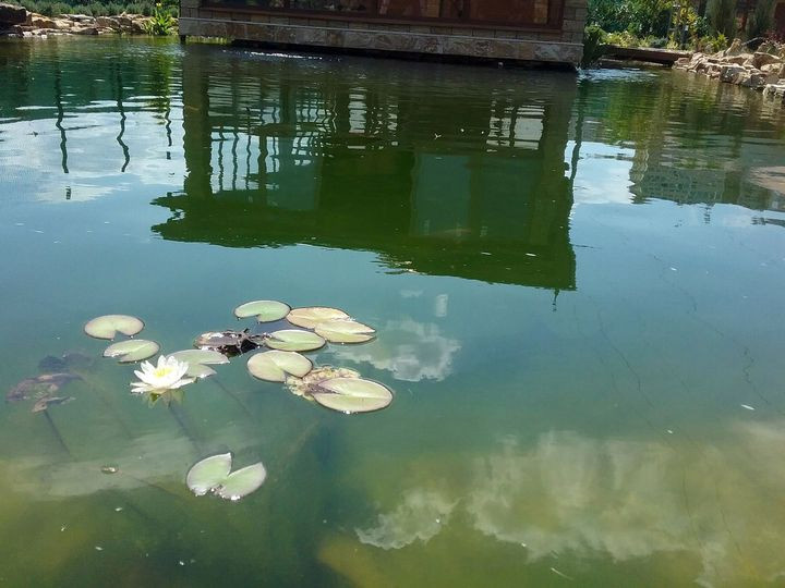 Искусственный пруд