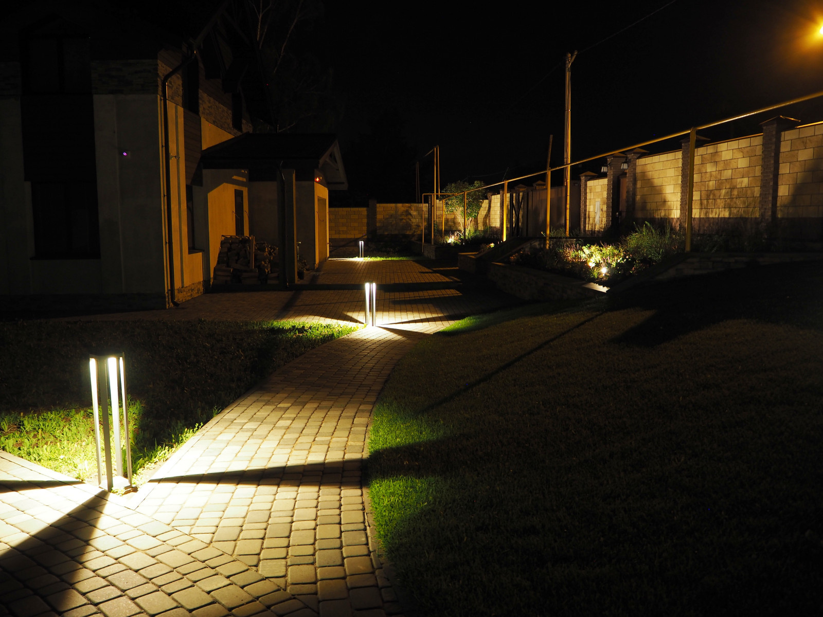 Сад с розами