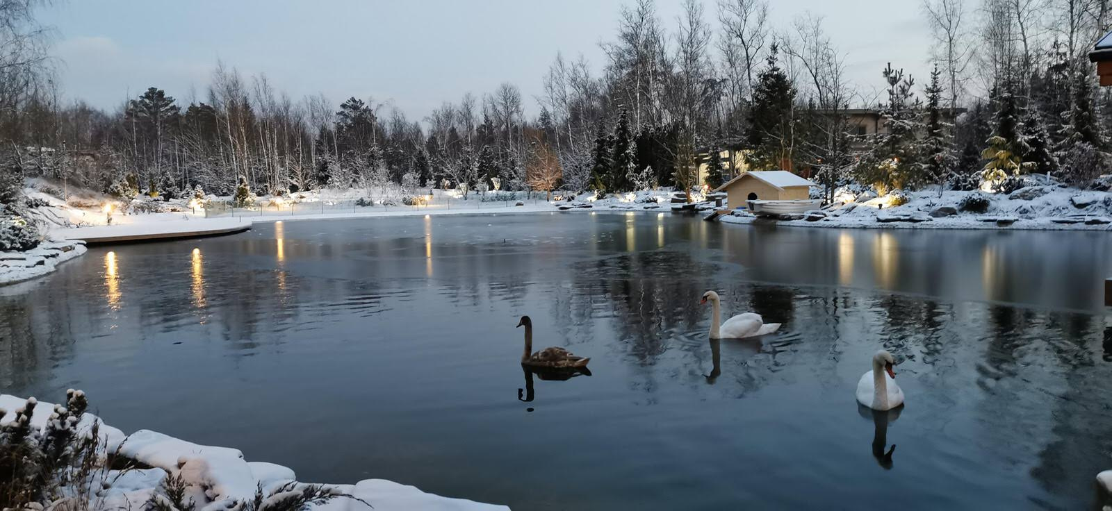 Лесное озеро