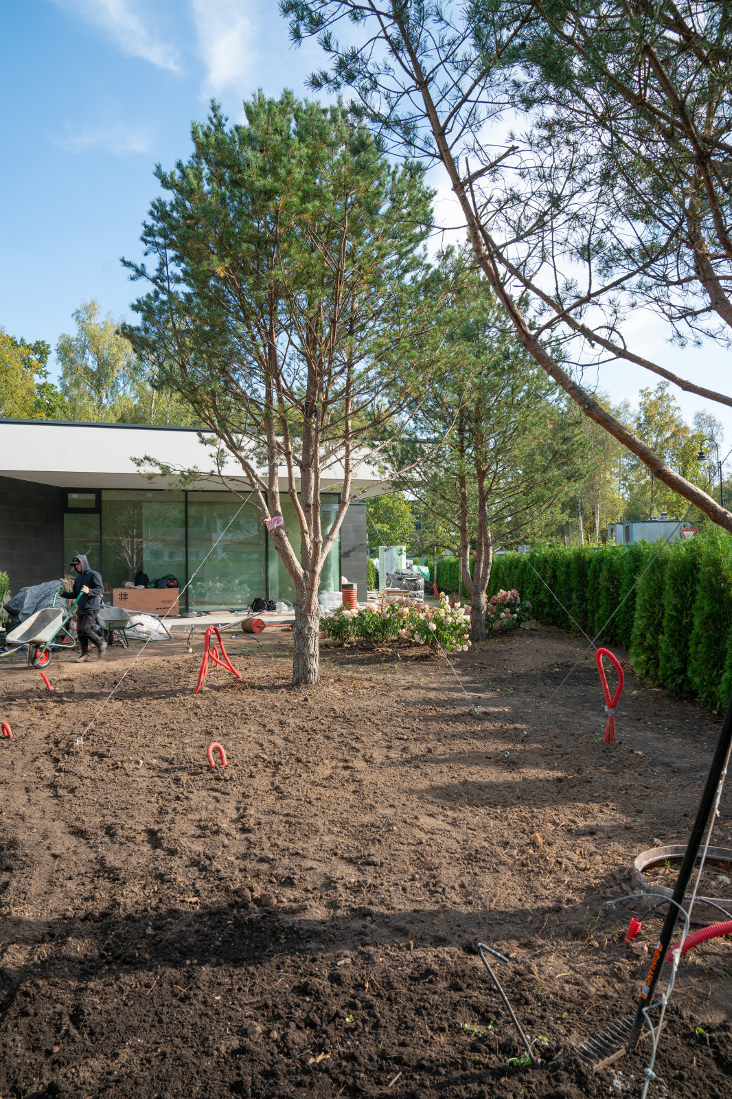 Антоновка. 30 соток. 2023 г.