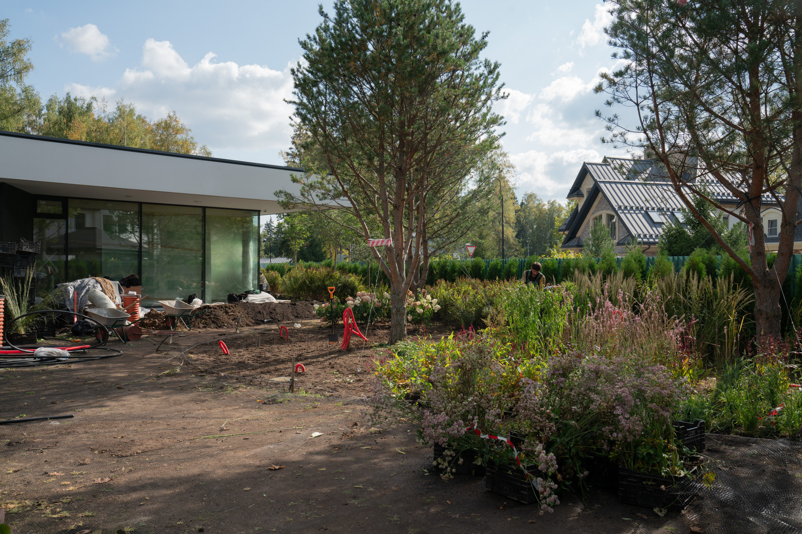 Антоновка. 30 соток. 2023 г.