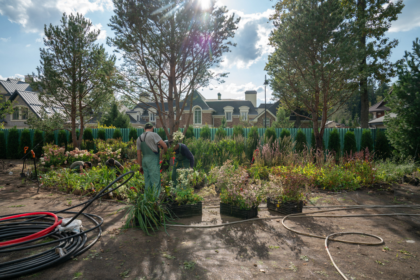 Антоновка. 30 соток. 2023 г.