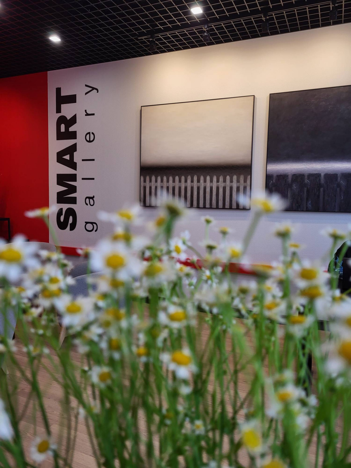 Шоурум галереи SMART на Кутузовском проспекте, 36