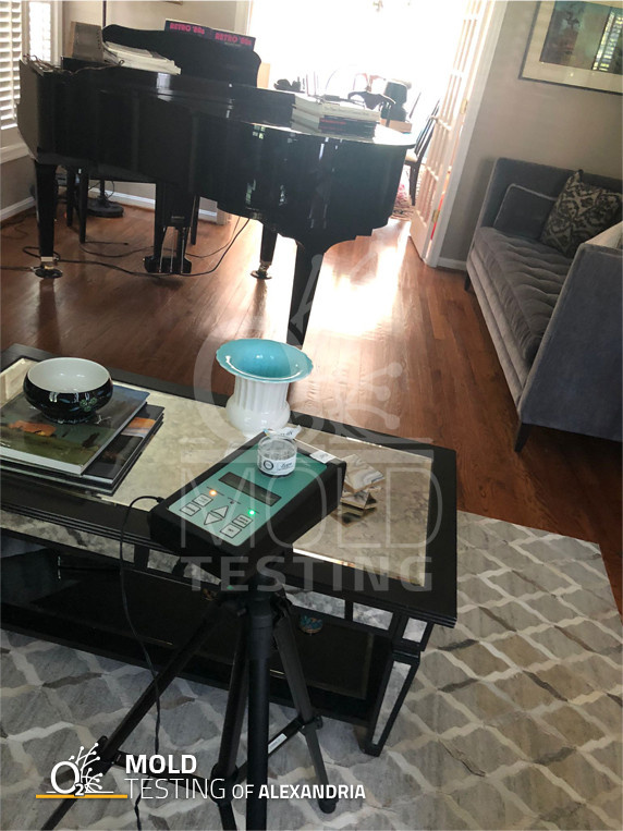 Mold Testing in Alexandria