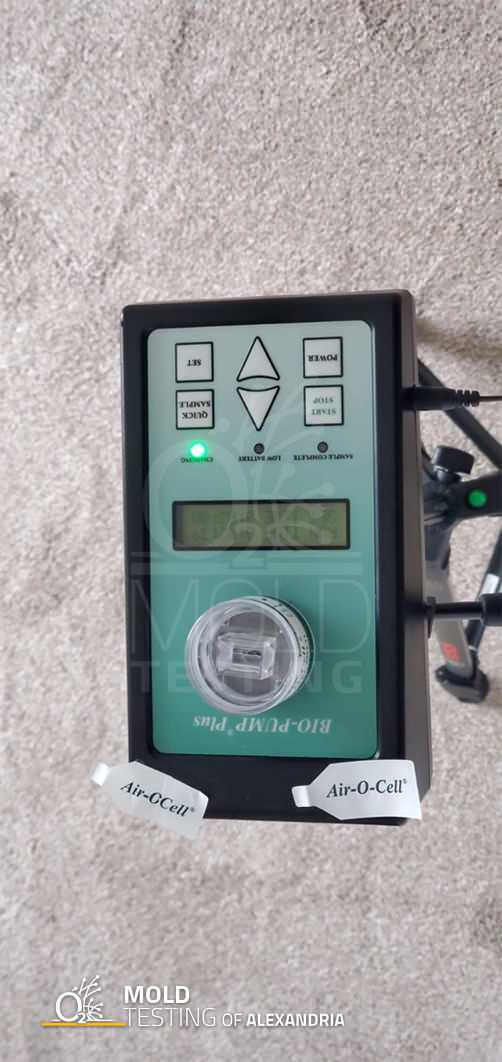 Mold Testing in Alexandria