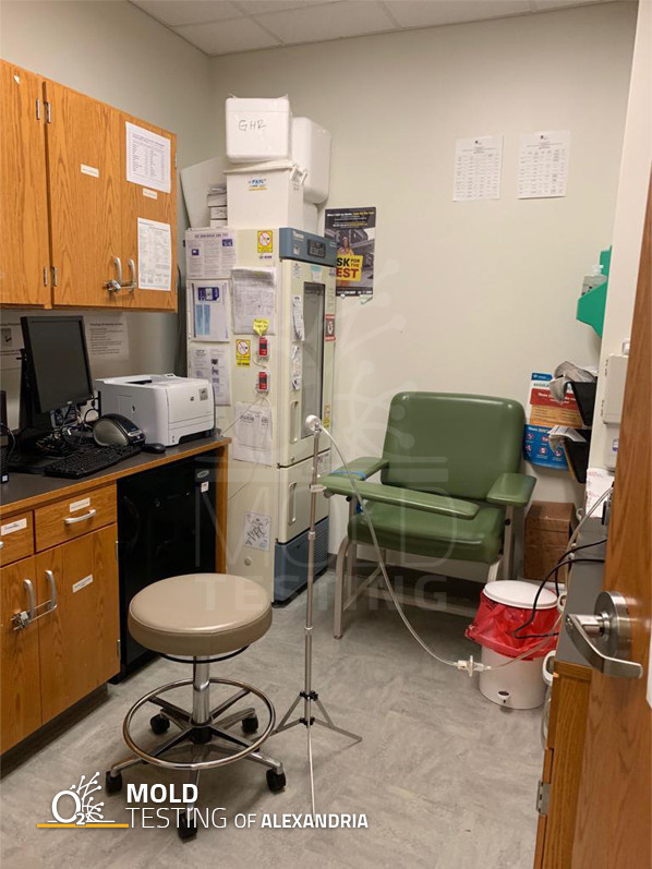 Mold Testing in Alexandria