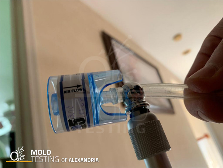 Mold Testing in Alexandria