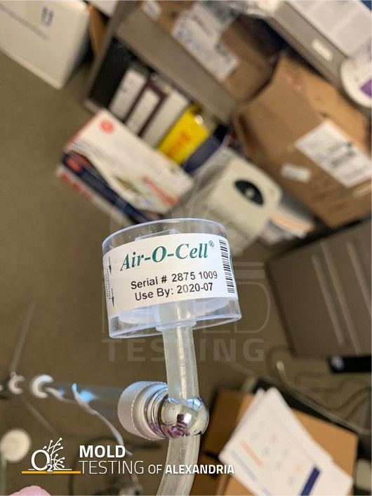 Mold Testing in Alexandria