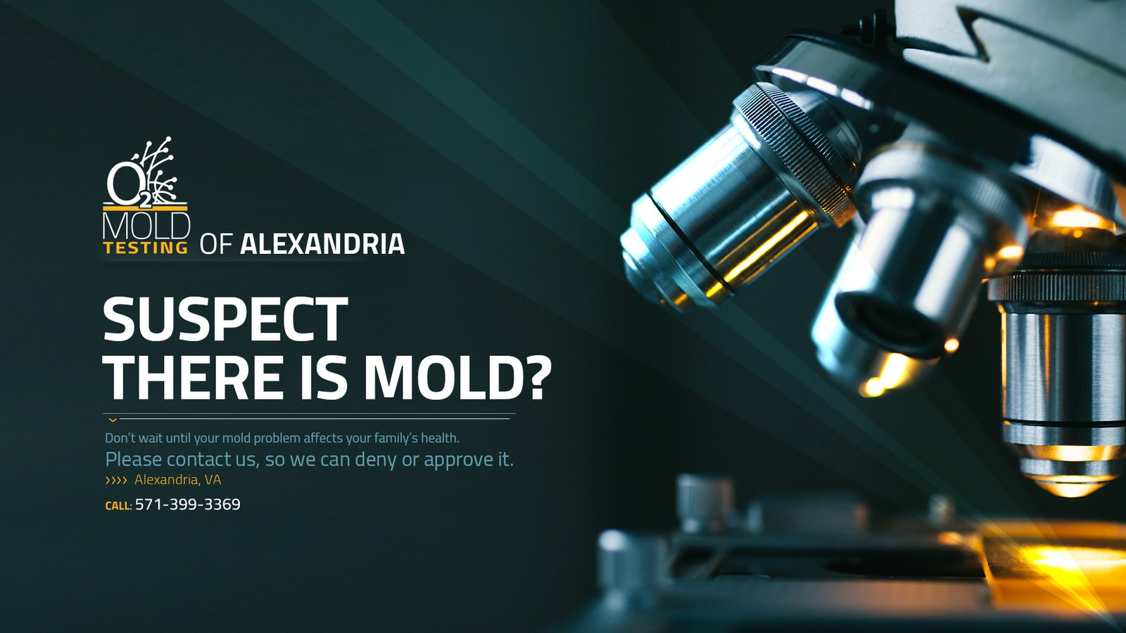 Mold Testing in Alexandria