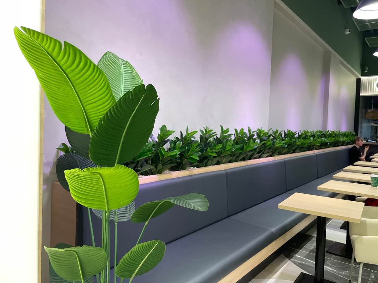 Фудкорт г.Санкт-Петербург