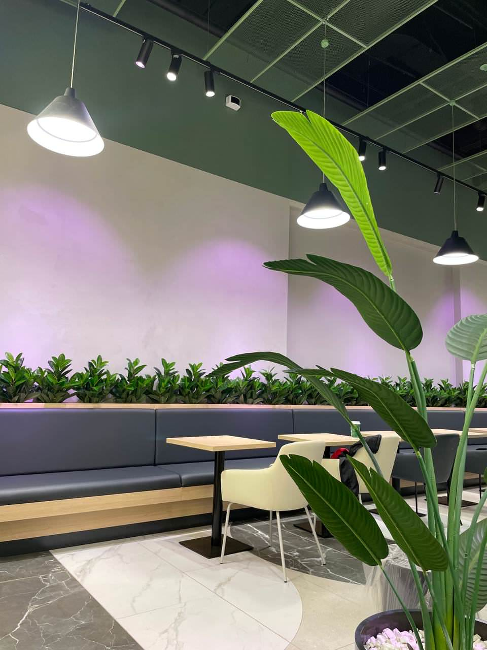 Фудкорт г.Санкт-Петербург