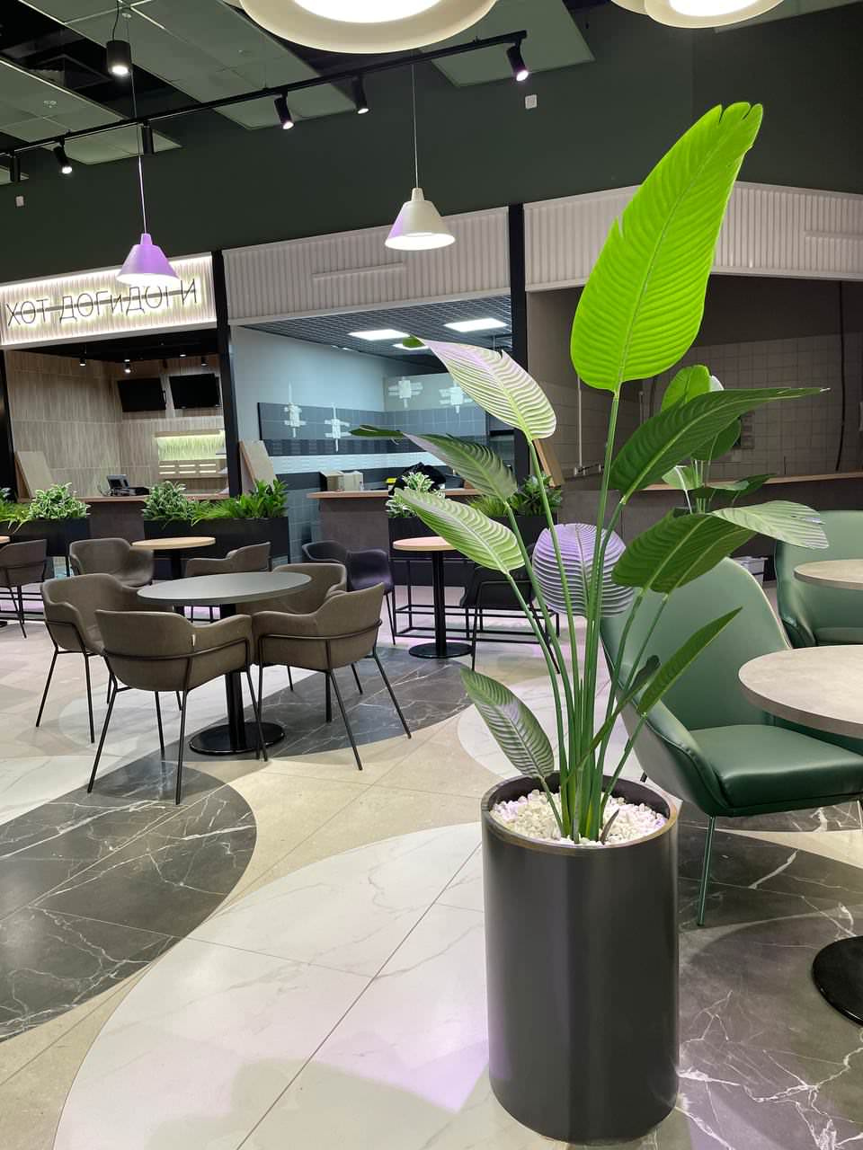 Фудкорт г.Санкт-Петербург