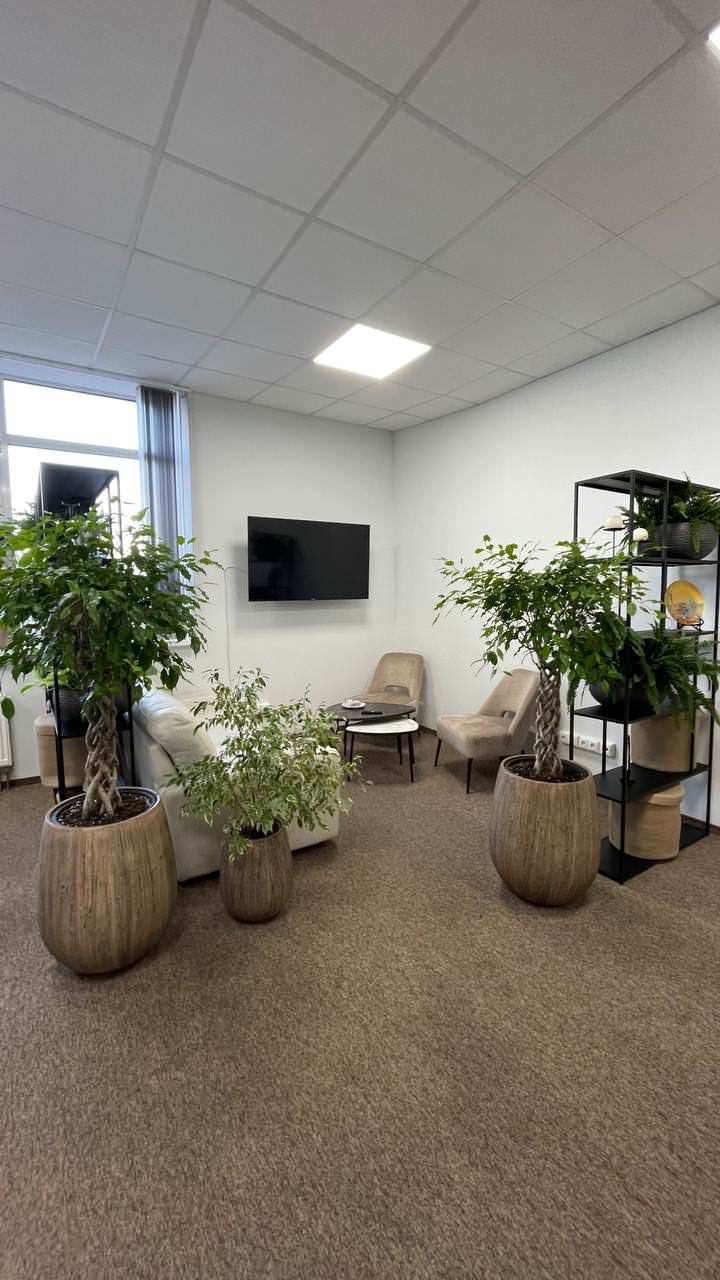Озеленение офиса компании "ROBE GARDEN"