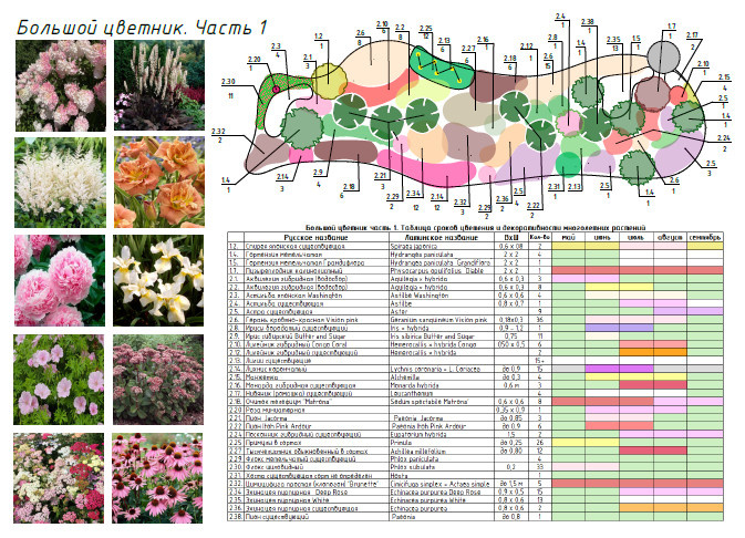 Эскизные проекты. Дизайн-концепты. Дендропланы