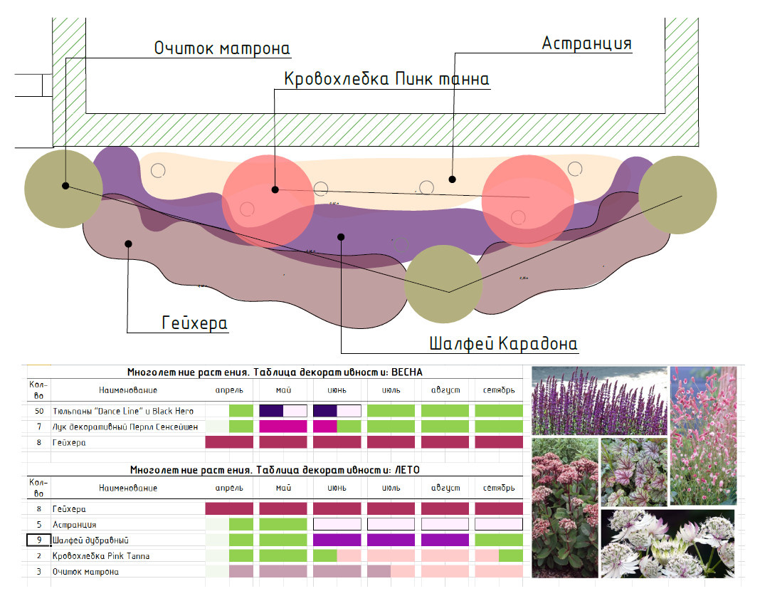 Обложка проекта: Проекты