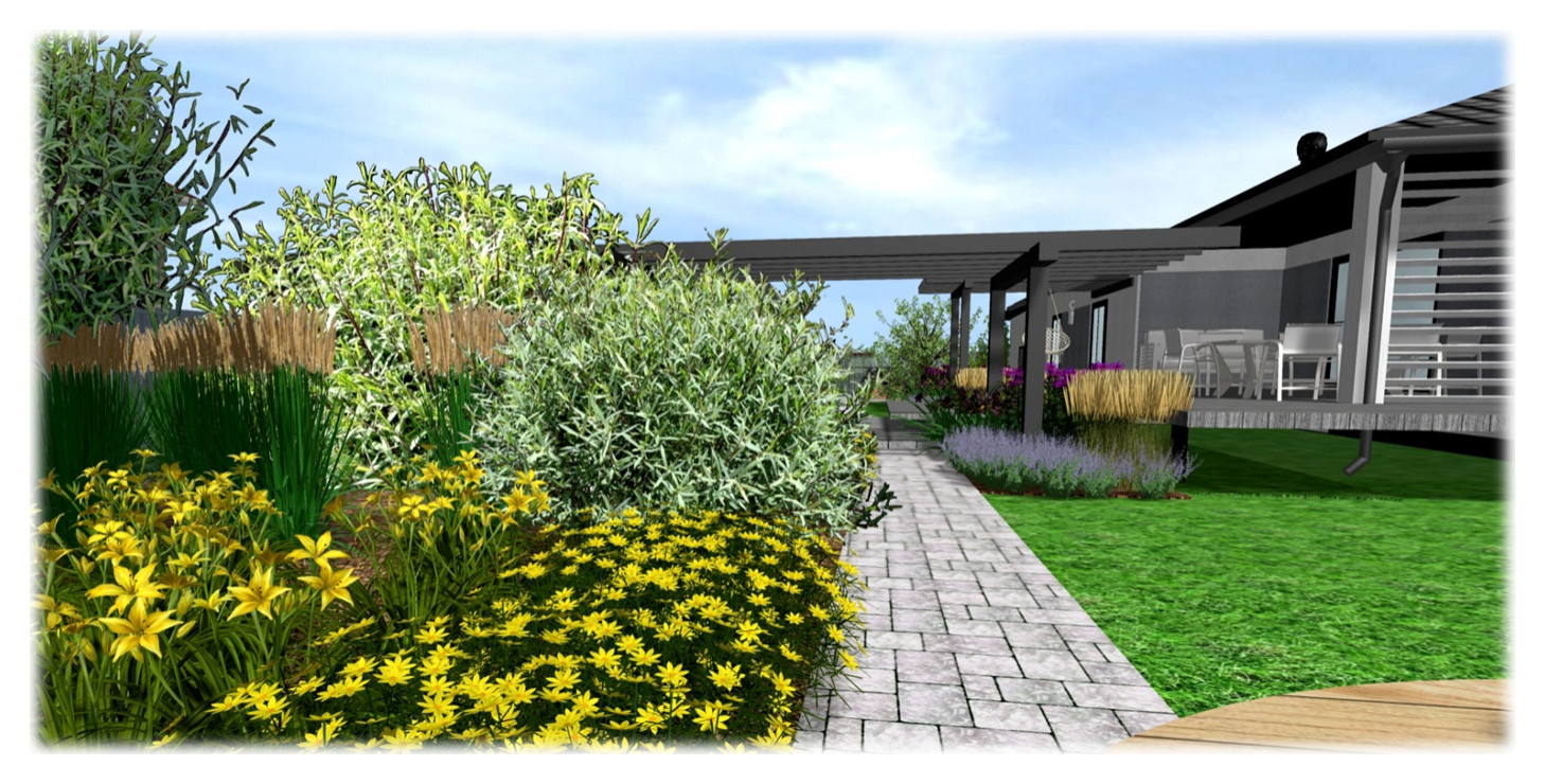 3D Визуализация