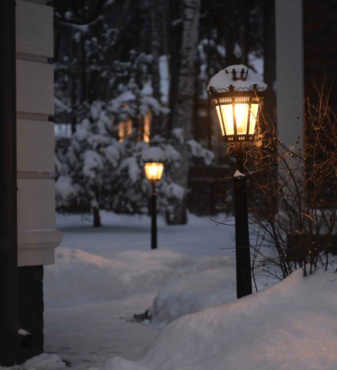 Зимняя сказка в Новогорске 2023