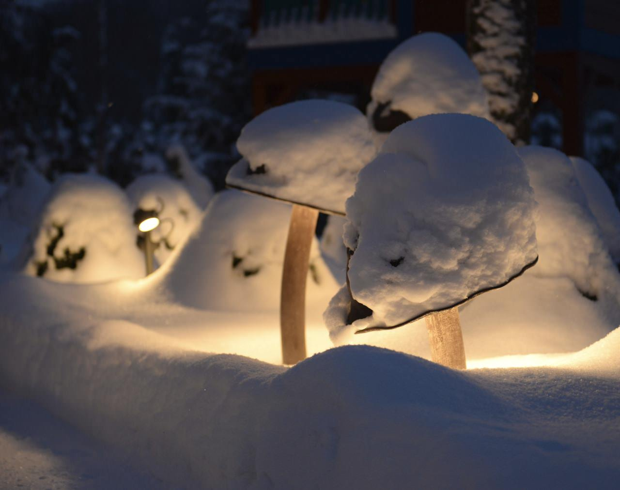 Зимняя сказка в Новогорске 2023