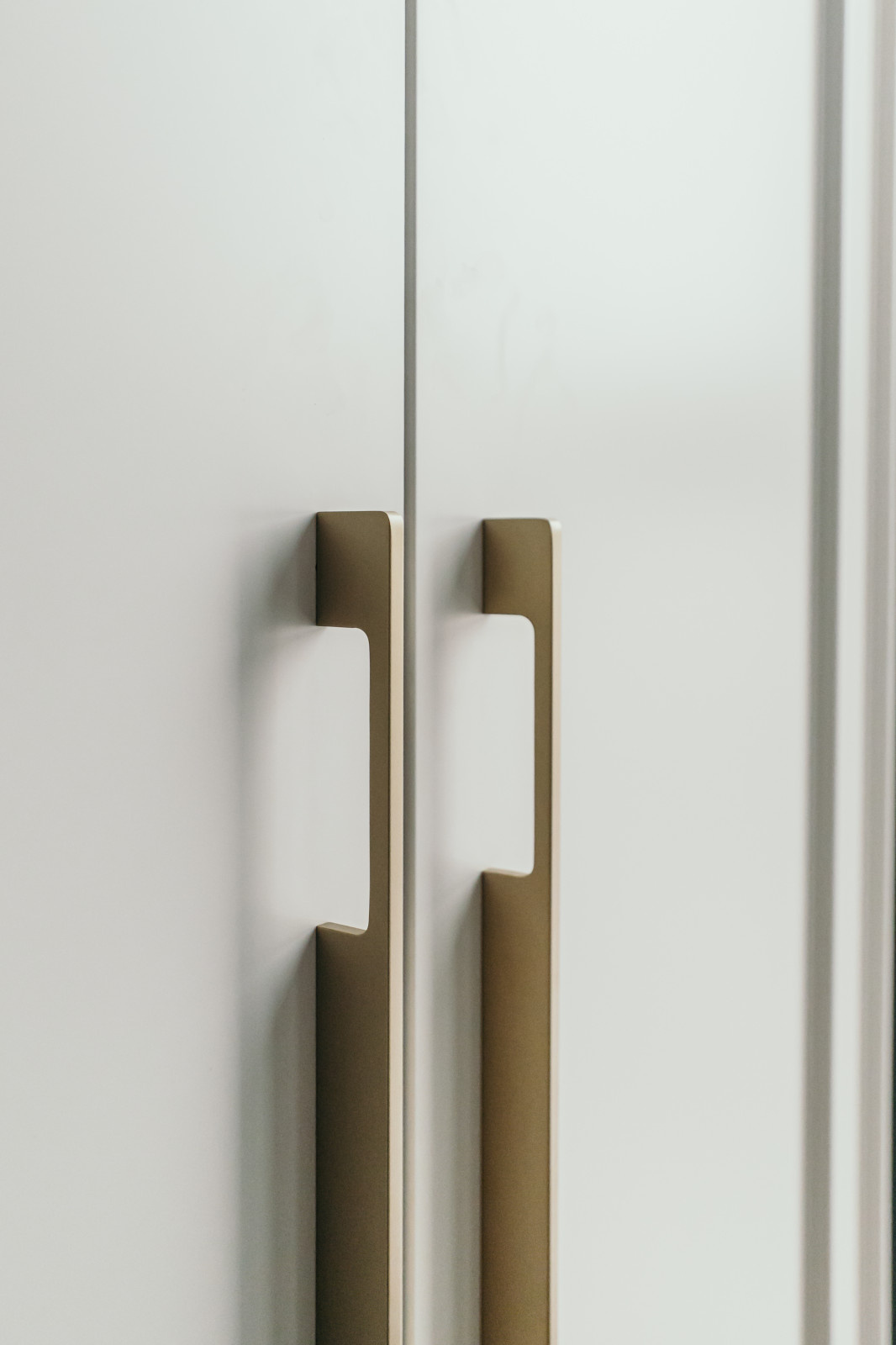 Меблировка квартиры ЖК "Bauman House"